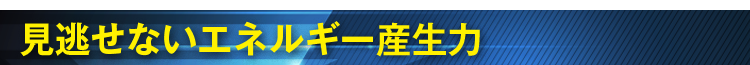 見逃せないエネルギー産生力