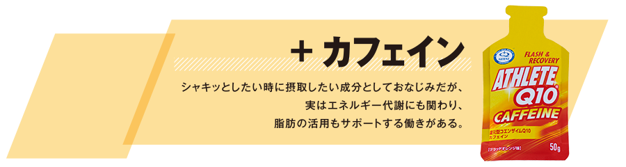 ポップアップ　成分2