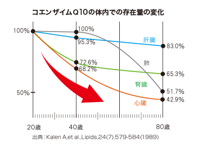 コエンザイムQ10の体内での存在量の変化