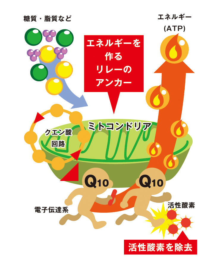 エネルギーを産出図