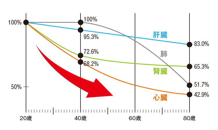 体内での存在量の変化