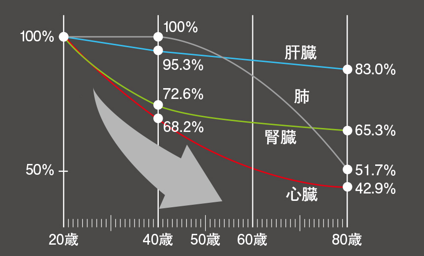 体内に存在する量の経年変化の図