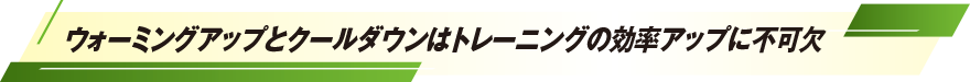 ウォーミングアップとクールダウンはトレーニングの効率アップに不可欠