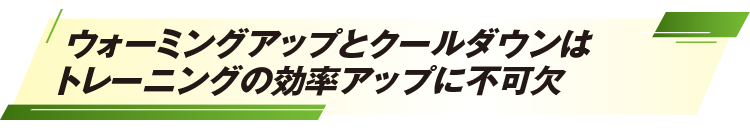 ウォーミングアップとクールダウンはトレーニングの効率アップに不可欠