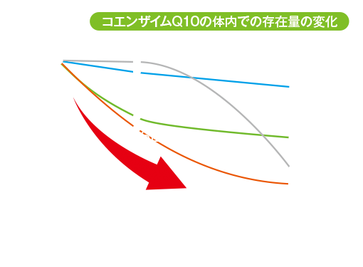 図「CoQ10体内存在量変化」